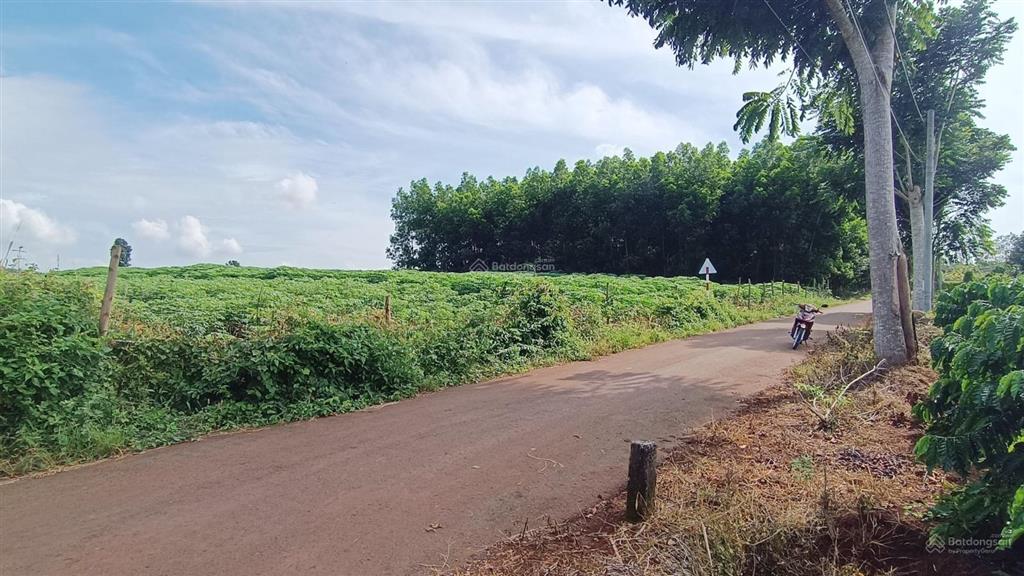 36000 m2(300m2tc)cách dự án 50 hecta kcn phước tân xã hồ tràm 1,5 km|giá 36tỷ làm kho bãi, đầu tư
