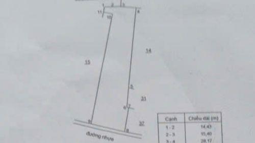 36000 m2(300m2tc)cách dự án 50 hecta kcn phước tân xã hồ tràm 1,5 km|giá 36tỷ làm kho bãi, đầu tư