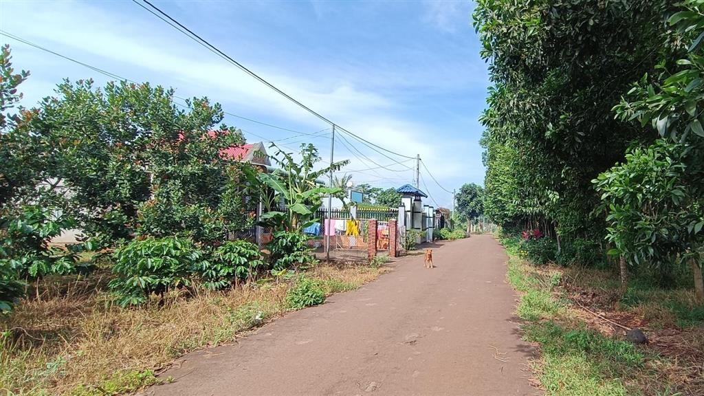 36000m2 đất trục đường phước tân hội bài cần bán giá 36 tỷ 116m mặt tiền (300 ont) làm kho bãi vip