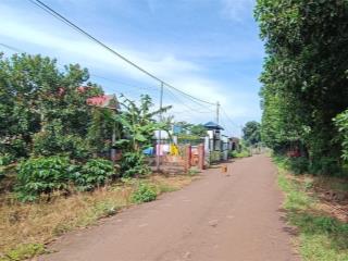 13,5 tỷ sở hữu 11710m2 đất (full hồng) khu dân cư đường nhựa cạnh trung tâm, cty, ql 56 vip