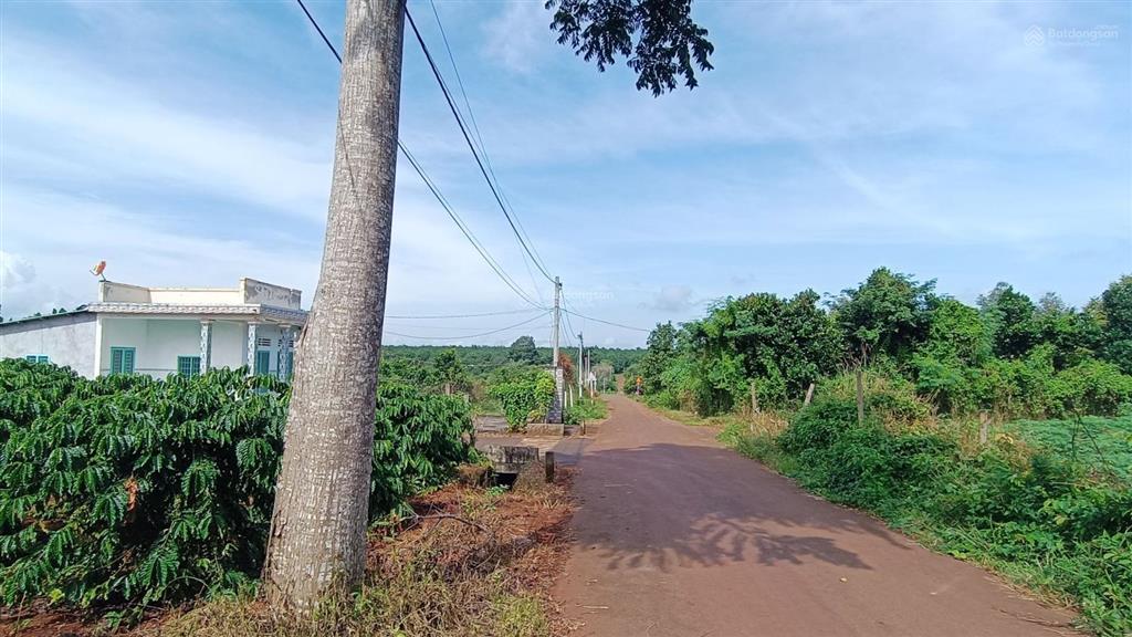 36000 m2(300m2tc)cách dự án 50 hecta kcn phước tân xã hồ tràm 1,5 km|giá 36tỷ làm kho bãi, đầu tư