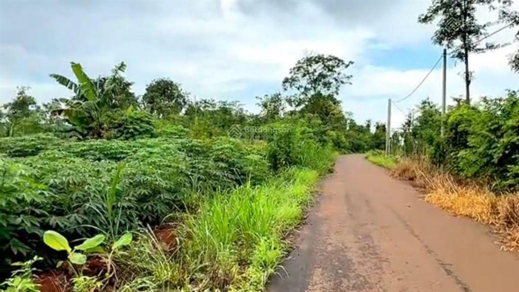 Chỉ 5xx/lô(rẻ nhất tp. hcm) lốc phân lô sẵn 24 nền tại tp. hồ chí minh (5x60)m shr 1760m2 thổ cư