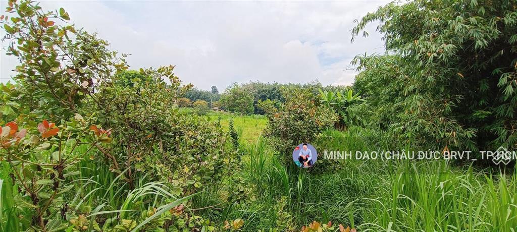 5 tỷ, đất trung tâm ngãi giao 2800m2 có mặt tiền 30m và 300m2 thổ cư cạnh trung tâm, cty, ql 56b