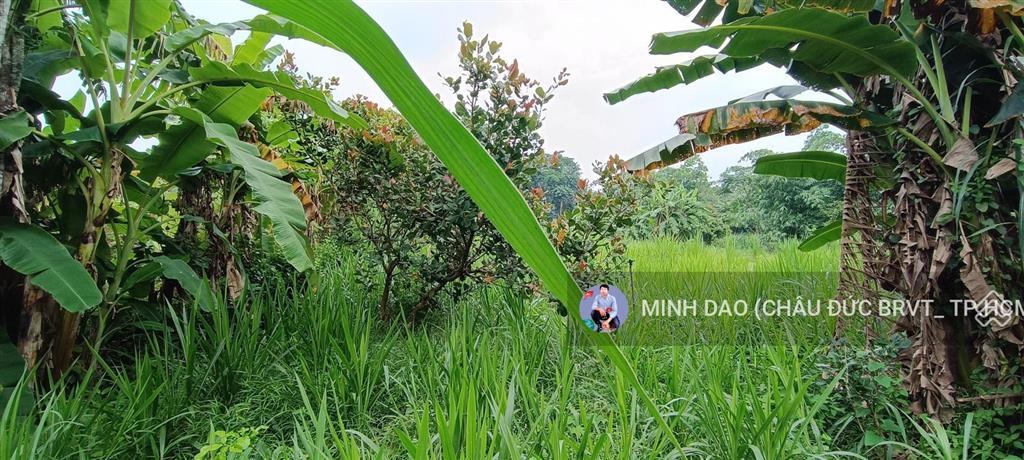 5 tỷ, đất trung tâm ngãi giao 2800m2 có mặt tiền 30m và 300m2 thổ cư cạnh trung tâm, cty, ql 56b