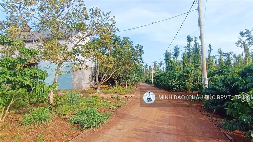 Đất sào tại xã bầu chinh 1,35 tỷ diện tích 1543 m2 khu dân cư giá hợp lý làm nhà vườn siêu đẹp