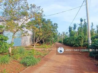 Đất sào tại xã bầu chinh 1,35 tỷ diện tích 1543 m2 khu dân cư giá hợp lý làm nhà vườn siêu đẹp