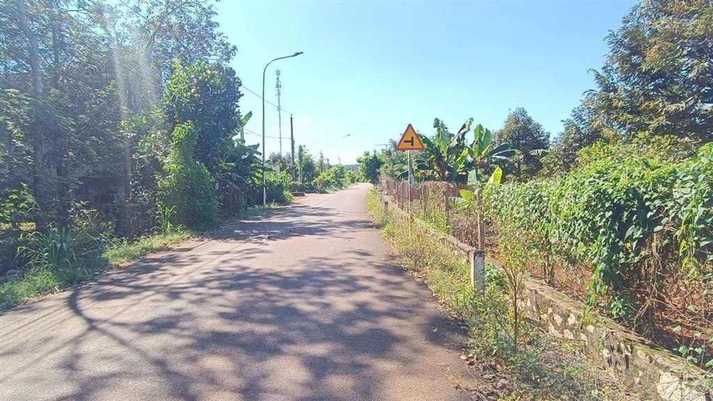 Đất vườn khu dân cư 3,4 tỷ mặt tiền hướng đông 839 m2 100 thổ cư có sầu riêng đẹp hơn mong đợi