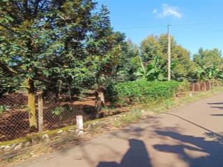 Đất vườn khu dân cư 3,4 tỷ mặt tiền hướng đông 839 m2 100 thổ cư có sầu riêng đẹp hơn mong đợi