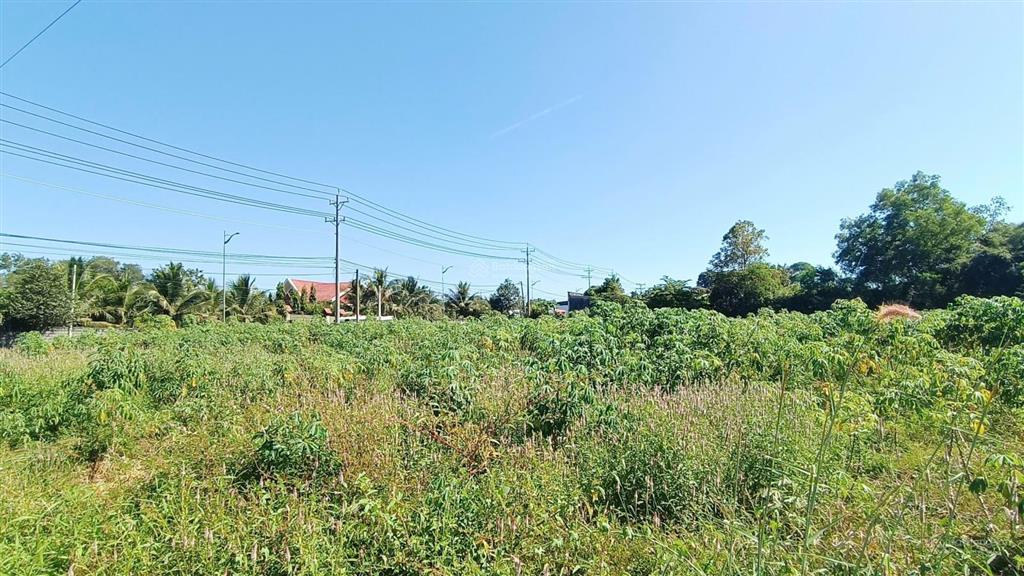 Bán đất mặt tiền đường phước tân  hội bài, vị trí đẹp kinh doanh kho xưởng