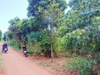 Bán đất 3,2 tỷ gần 2 sào mặt tiền 27m full hồng khu dân cư có 100m2 thổ cư vị trí đẹp giá tốt