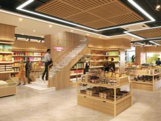 Bán căn hộ thương mại khối đế 2 tầng, 2 mặt tiền shophouse