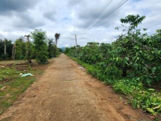 Bốn lô đất đẹp  giá chỉ 485 triệu  thôn văn minh  xã đinh văn  lâm hà  lâm đồng