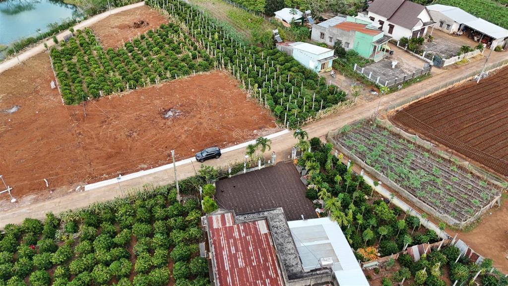 Chỉ 650 triệu  sở hữu ngay lô đất full thổ cư view hồ  gần chợ tân hội  vị trí cực hiếm