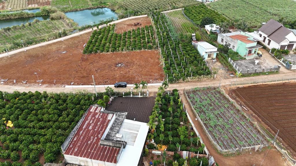 Chỉ 650 triệu  sở hữu ngay lô đất full thổ cư view hồ  gần chợ tân hội  vị trí cực hiếm