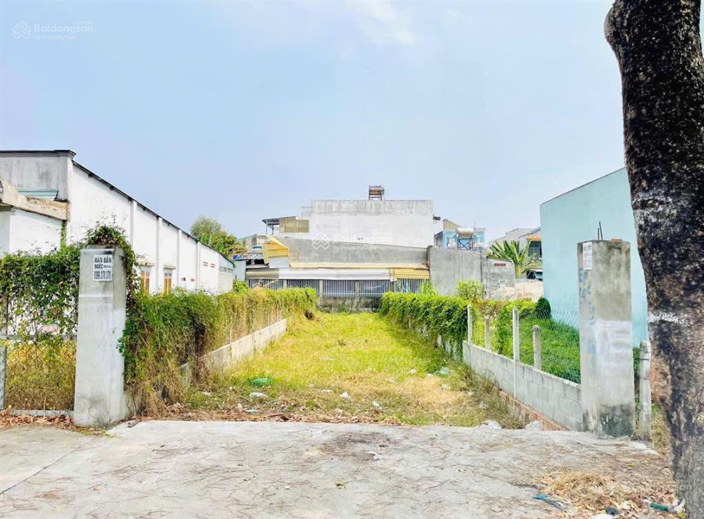 Đất thổ cư 115m2 đường liêu bình hương, tân thông hội củ chi giá 980tr sổ riêng dân cư đông đúc