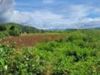 Bán gần 2000m2 đất sổ riêng đường ô tô  liên nghĩa, đức trọng, lâm đồng, 2 tỷ công chứng ngay