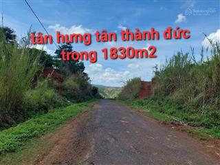 Bán 1830m2 đất xã tân thành đức trọng lâm đồng 1 tỷ 830 triệu mặt đường 36 m