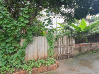 Cơ hội vàng sở hữu lô đất 100m2 tại long biên 11 tỷ, vị trí đắc địa giá trị gia tăng không ngừng