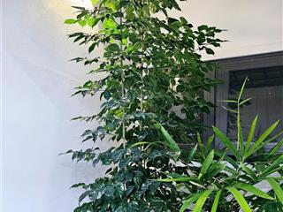 Chính chủ cần bán gấp căn nhà mặt tiền thống nhất, diện tích 106m2 hướng đông bắc