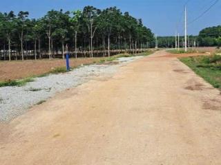 Đất bình phước ngày trung tâm 200m2 giá chỉ 400 triệu còn lộc