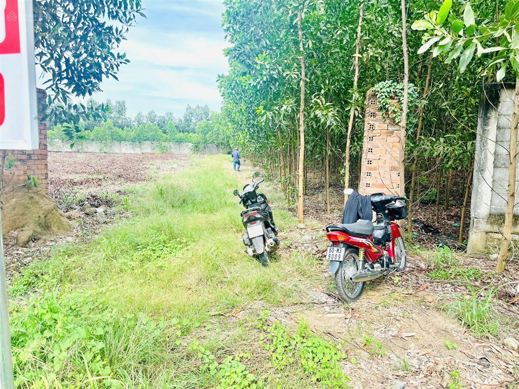 1.9 sào phước bình  mặt tiền nhựa 26m  nở hậu tài lộc  sẵn 200m tc  9,9 tỷ