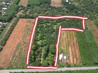 Bán hơn 1.7 hecta đất mặt tiền đường chính phước bình, long thành  300m2 thổ cư