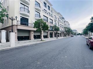 Siêu phẩm san hô mặt đường to 20m cực kì thoáng đãng