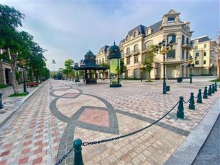 Hạ giá mạnh ! song lập vip phân khu giữa đại đô thị vinhomes oceancity