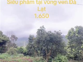 Bán đất tại xã đông thanh, lâm hà. đất diện tích rộng, giá cực mềm. đất vuông vức, đường rộng, đẹp