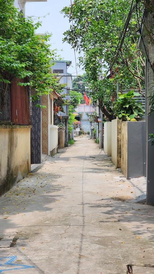 Thanh trì gần cây xăng đông mỹ cần bán 37m2 đất ô tô xịn chỉ 2.9 tỷ