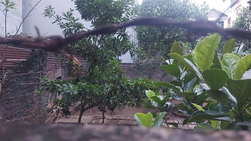 Cần bán gấp 120m2, mt12m, 8.16 tỷ đại mạch, đông anh (thiên lộc), gần ô tô tránh, nhiều tiện ích.