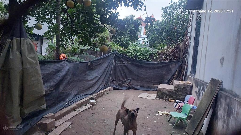 Cần bán gấp 120m2, mt12m, 8.16 tỷ đại mạch, đông anh (thiên lộc), gần ô tô tránh, nhiều tiện ích.