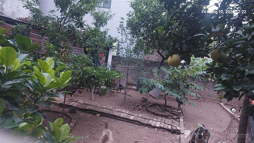 Cần bán gấp 120m2, mt12m, 8.16 tỷ đại mạch, đông anh (thiên lộc), gần ô tô tránh, nhiều tiện ích.