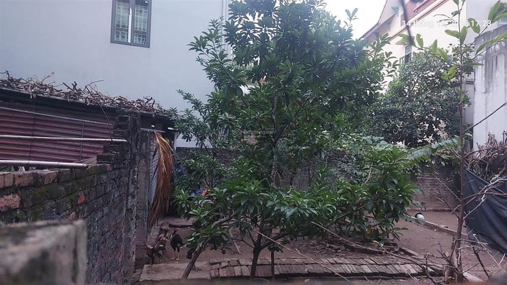 Cần bán gấp 120m2, mt12m, 8.16 tỷ đại mạch, đông anh (thiên lộc), gần ô tô tránh, nhiều tiện ích.