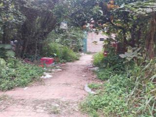 Đất sx nông nghiệp 796m2, mt 25m, lô góc, xe container, thông, 19 tỷ, kim chung, đông anh