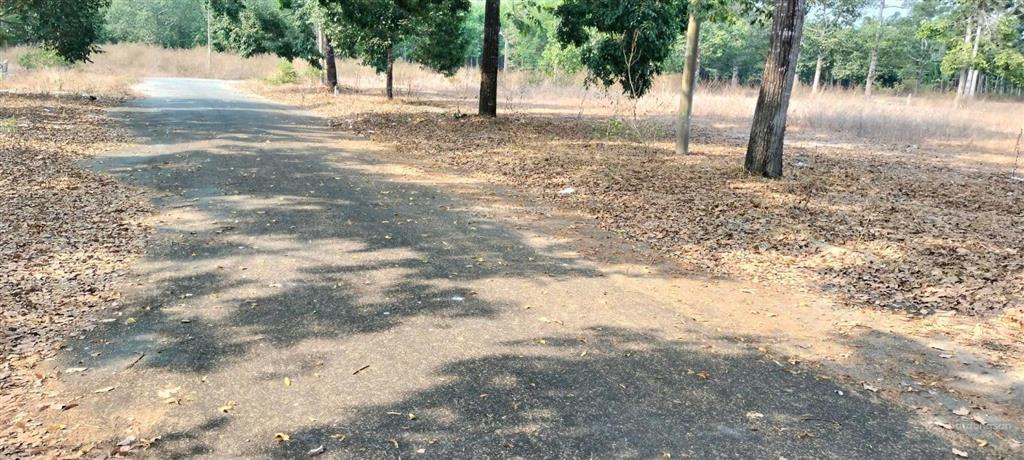 Bán đất nền 231m2, giá tốt 3,6 tỷ tại đường số 4, xã định hiệp, dầu tiếng, bình dương