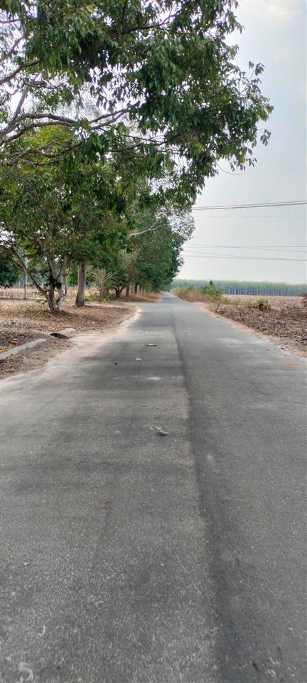 Bán đất nền 231m2, giá tốt 3,6 tỷ tại đường số 4, xã định hiệp, dầu tiếng, bình dương