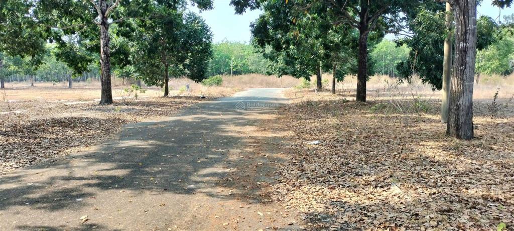 Bán đất nền 231m2, giá tốt 3,6 tỷ tại đường số 4, xã định hiệp, dầu tiếng, bình dương