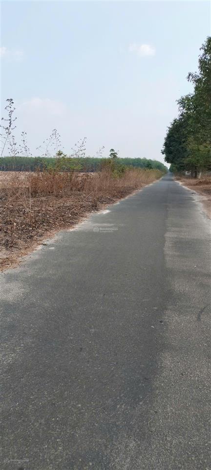 Bán đất nền 231m2, giá tốt 3,6 tỷ tại đường số 4, xã định hiệp, dầu tiếng, bình dương