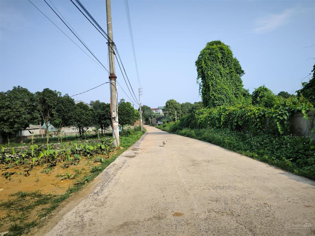 Chính chủ bán 545m² có 100m² thổ cư, 2 mặt tiền tuyến dh09, hòa thạch giá rẻ, tiềm năng đầu tư