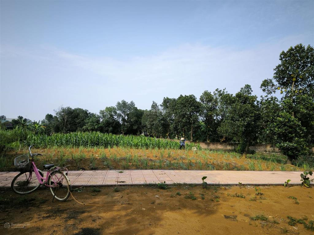 Chính chủ bán 545m² có 100m² thổ cư, 2 mặt tiền tuyến dh09, hòa thạch giá rẻ, tiềm năng đầu tư