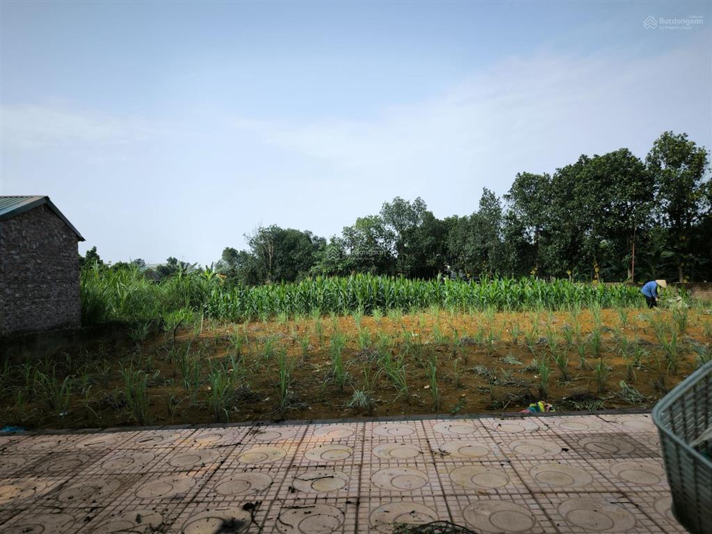 Chính chủ bán 545m² có 100m² thổ cư, 2 mặt tiền tuyến dh09, hòa thạch giá rẻ, tiềm năng đầu tư