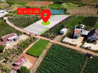 Bán đất 150m2 tại tân hội, đức trọng, lâm đồng, giá siêu hời 660 triệu