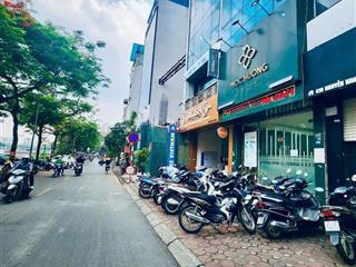 Bán nhà mặt phố nguyễn khang, cầu giấy dt 77mx7tx5mmt giá 48,8 tỷ kinh doanh sầm uất, dòng tiền tốt