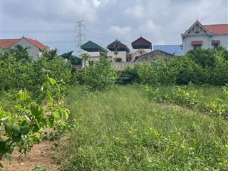 Lô đất vuông view sông ô tô vào tận nơi gần chợ đầu mối đông tảo, giá chỉ hơn 2x tr/m2!