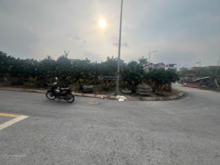 Cơ hội vàng  chính chủ bán lô đất mặt đường đấu giá công luận 2.