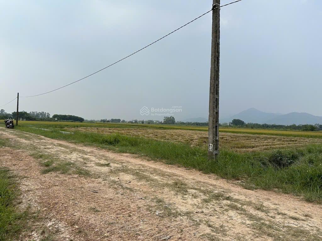 Bán 1642m2 đất ruộng ninh môn, hiền ninh  lô góc sát trục chính, thông ô tô