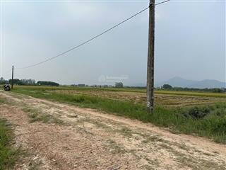 Bán 1642m2 đất ruộng ninh môn, hiền ninh  lô góc sát trục chính, thông ô tô