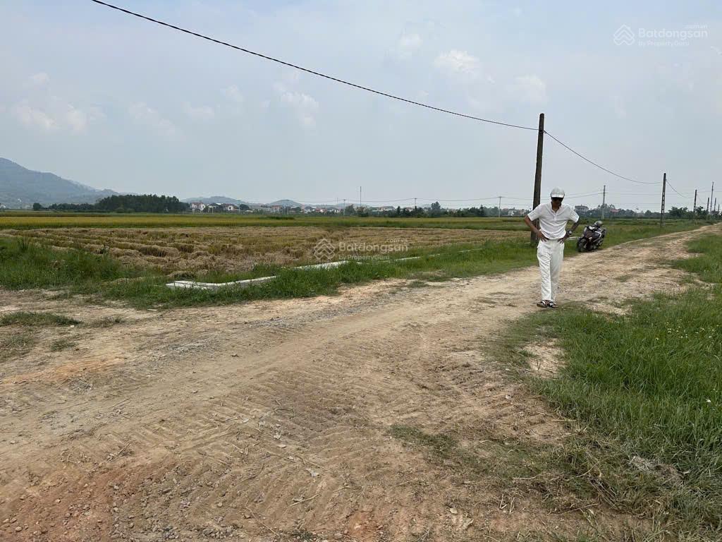 Bán 1642m2 đất ruộng ninh môn, hiền ninh  lô góc sát trục chính, thông ô tô