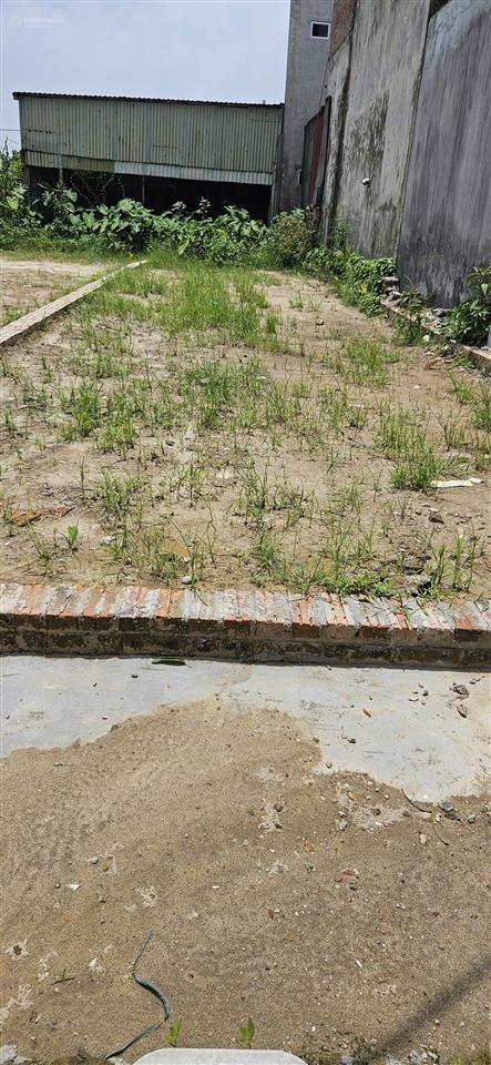 Chính chủ bán 116m2 tại tổ 9 tt quang minh  đường thông, ô tô đậu
